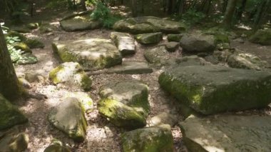Dolmen ormanın içinde. 4k, ağır çekim. Steadicam atış