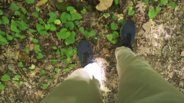 Steadicam Shot. jambes masculines en baskets traversent la forêt humide de montagne, avec des pierres mousseuses et des racines d'arbre, perspective personnelle de vue, 4k, ralenti — Video