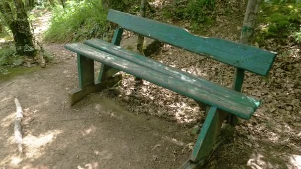 Banc dans le parc. Steadicam Shot montagne humide Forêt avec des pierres mousseuses et des racines d'arbres, perspective personnelle de vue, 4k, ralenti — Video