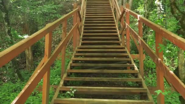 Steadicam Shot. quelqu'un monte les marches d'un escalier en bois dans la forêt, une perspective personnelle, 4k, ralenti — Video