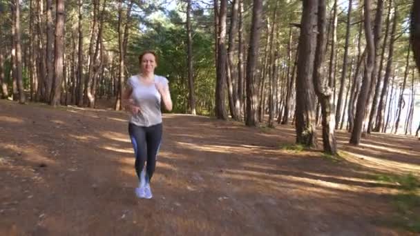 Kobieta ucieka na szlak w lesie słoneczne lato. motywacji do aktywności sportowej, na zewnątrz, szkolenia i ćwiczeń w pięknej przyrody. Słoneczny blask, zwolnionym tempie 4k, steadicam strzał — Wideo stockowe