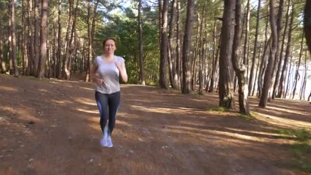 Mujer huyendo por un sendero en el soleado bosque de verano. motivación para la actividad deportiva al aire libre, entrenamiento y ejercicio en la hermosa naturaleza. deslumbramiento solar, cámara lenta 4k, disparo steadicam — Vídeos de Stock