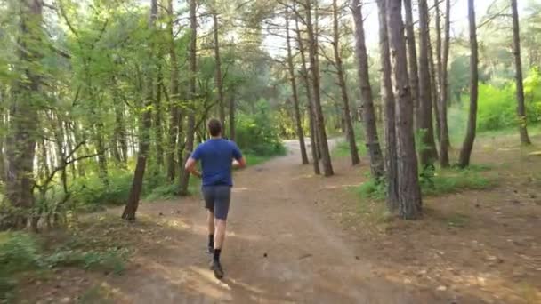 日当たりの良い夏の森の道で逃げる男。スポーツ活動、屋外トレーニングと美しい自然の運動の動機。太陽のまぶしさ、4 k、ステディカムのスローモーション撮影 — ストック動画
