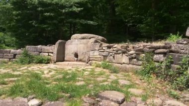 Dolmen ormanın içinde. 4k, ağır çekim. Steadicam atış