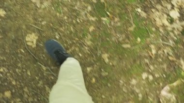 Steadicam atış. Erkek spor ayakkabı bacaklarda dağ ıslak ormanın içinden, yosunlu taşlar ve ağaç kökleri, kişisel bakış açısı görünümünün, 4 k, ağır çekim git