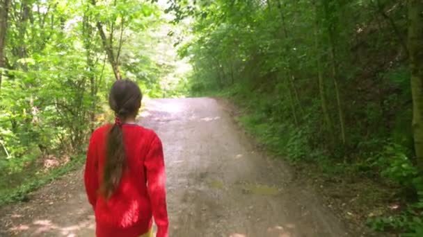 Kleines Mädchen, das mit Picknickkiste durch den Wald geht, Rückansicht, Steadicam-Aufnahme — Stockvideo