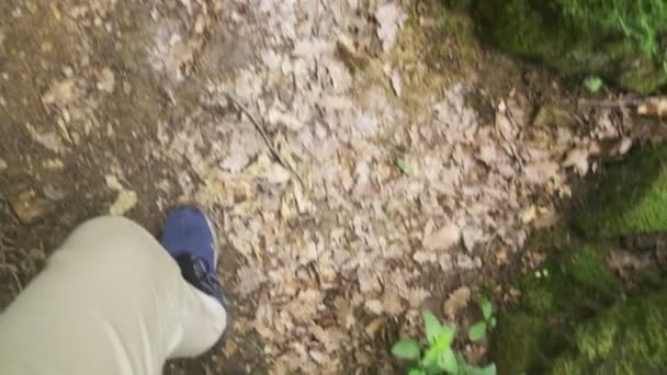 Steadicam strzał. mężczyzna nogi w trampki przejść przez góry mokry Las, omszałych kamieni i korzeni drzew, osobistej perspektywy widzenia, 4k, zwolnionym tempie — Wideo stockowe