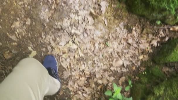 Steadicam Shot. gambe maschili in scarpe da ginnastica passano attraverso la foresta bagnata montagna, con pietre muschiate e radici d'albero, prospettiva personale, 4k, rallentatore — Video Stock