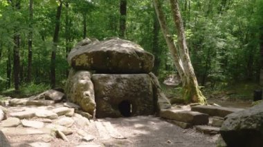 Dolmen ormanın içinde. 4k, ağır çekim. Steadicam atış