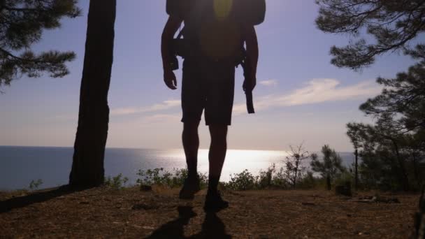 Silhouet toeristische man met een grote rugzak reist naar de rand van een steile steile kust met pijnbomen. met een prachtig uitzicht op het landschap van de zee. 4 k. Slowmotion — Stockvideo