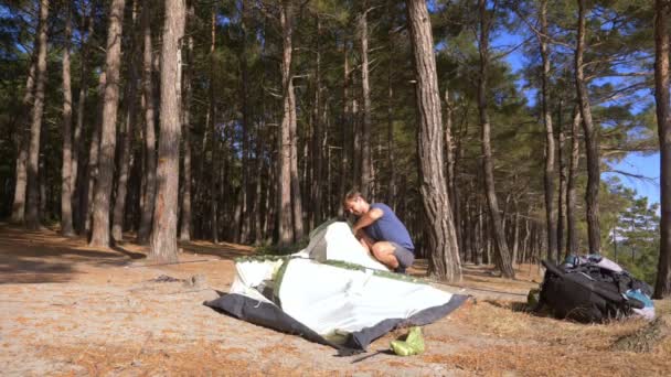 Een mannelijke toeristische regelt een tent aan de rand van een steile kust kust in een pijnbomenbos met een prachtig uitzicht op het Zeegezicht. 4k. — Stockvideo