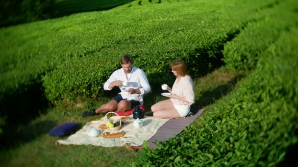 Cita romántica de una buena pareja hombre y mujer en un claro entre una plantación de té. concepto de viajes, ocio. Estilo de vida. 4k . — Vídeo de stock