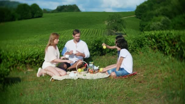 Um piquenique de família em uma clareira entre uma plantação de chá. conceito de viagem, recreação. estilo de vida. 4k . — Vídeo de Stock