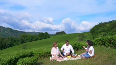 Aile piknik bir çay plantasyon arasında bir açıklıkta. seyahat, rekreasyon kavramı. yaşam tarzı. 4k.