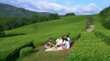 Aile piknik bir çay plantasyon arasında bir açıklıkta. seyahat, rekreasyon kavramı. yaşam tarzı. 4k.
