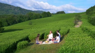 Aile piknik bir çay plantasyon arasında bir açıklıkta. seyahat, rekreasyon kavramı. yaşam tarzı. 4k.