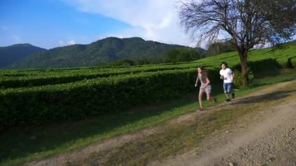 Niños felices corren alrededor de la plantación de té durante la excursión. concepto de viajes, ocio. Estilo de vida. 4k . — Vídeo de stock