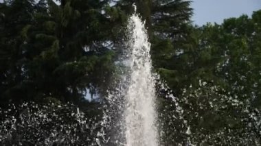 bir çeşme yeşil ağaçlar bir arka plan üzerinde bir akış. 4k, ağır çekim