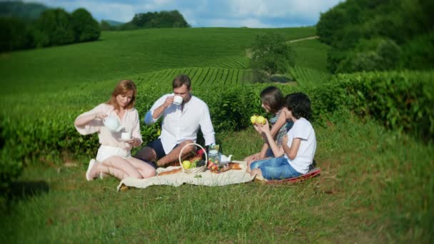 Aile piknik bir çay plantasyon arasında bir açıklıkta. seyahat, rekreasyon kavramı. yaşam tarzı. 4k. — Stok video