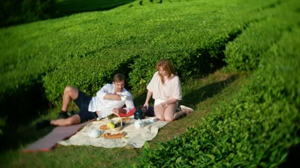 A family picnic in a clearing among a tea plantation. concept of travel, recreation. life style. 4k. — Stock Video