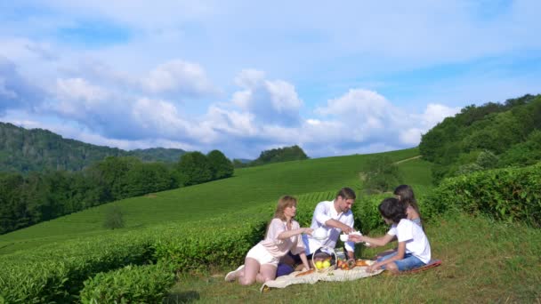 在茶叶种植园间的空地上进行的家庭野餐。旅行、娱乐的概念。生活方式。4k. — 图库视频影像