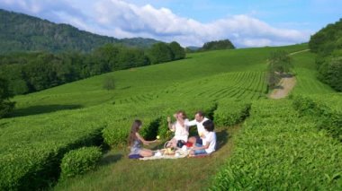 Aile piknik bir çay plantasyon arasında bir açıklıkta. seyahat, rekreasyon kavramı. yaşam tarzı. 4k.