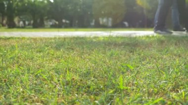 dinlenme ve şehir Park'ta yürüyordunuz kişiler metrelik. 4k, ağır çekim