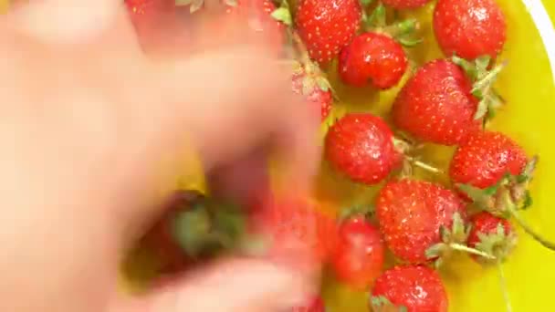 Las manos toman una fresa roja madura de un plato amarillo, 4k, lapso de tiempo — Vídeos de Stock