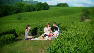 Aile piknik bir çay plantasyon arasında bir açıklıkta. seyahat, rekreasyon kavramı. yaşam tarzı. 4k.