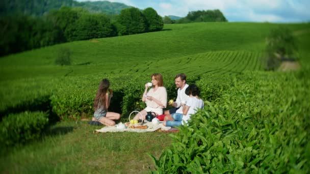 Un picnic in famiglia in una radura tra una piantagione di tè. concetto di viaggio, ricreazione. stile di vita. 4k . — Video Stock