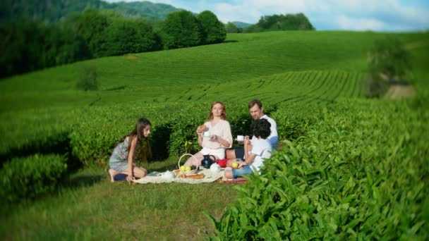 Ein Familienpicknick auf einer Lichtung inmitten einer Teeplantage. Konzept des Reisens, der Erholung. Lebensstil. 4k. — Stockvideo