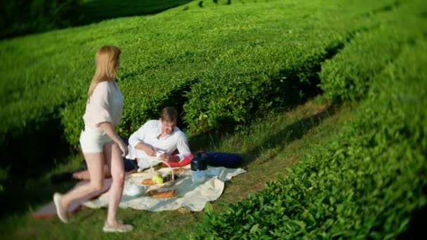 Encontro romântico de um casal agradável homem e mulher em uma clareira entre uma plantação de chá. conceito de viagem, lazer. Estilo de vida. 4k . — Vídeo de Stock