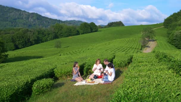 Um piquenique de família em uma clareira entre uma plantação de chá. conceito de viagem, recreação. estilo de vida. 4k . — Vídeo de Stock