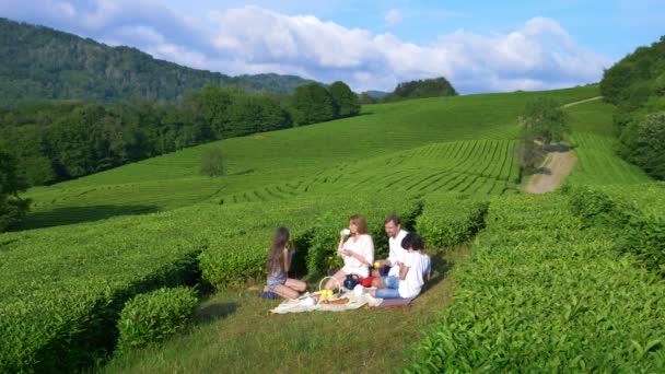 在茶叶种植园间的空地上进行的家庭野餐。旅行、娱乐的概念。生活方式。4k. — 图库视频影像