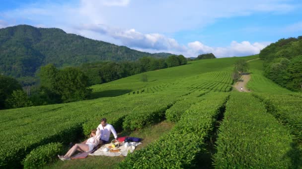 Date romantique d'un beau couple homme et femme dans une clairière au milieu d'une plantation de thé. concept de voyage, de loisirs. Style de vie. 4k . — Video