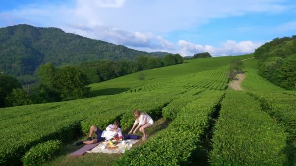 一个很好的夫妇的浪漫约会在一个茶叶种植园之间的结算。旅游概念, 休闲。生活方式。4k. — 图库视频影像