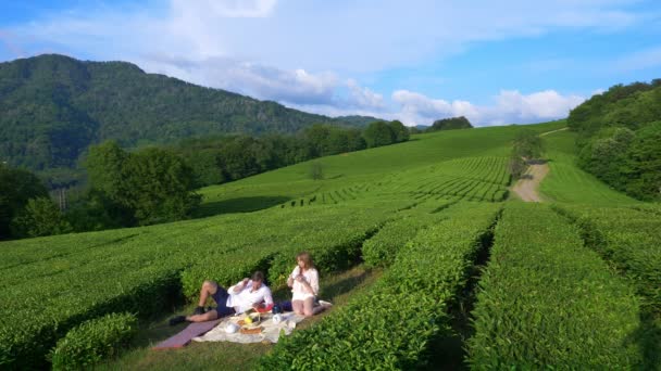 Güzel bir çift erkek ve kadın arasında bir çay plantasyon bir açıklıkta romantik tarih. seyahat, eğlence kavramı. Yaşam tarzı. 4k. — Stok video