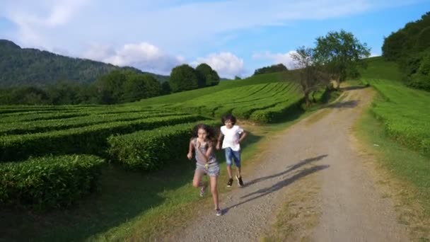 Счастливые дети бегают по чайной плантации во время экскурсии. концепция путешествия, досуга. Стиль жизни. 4k . — стоковое видео