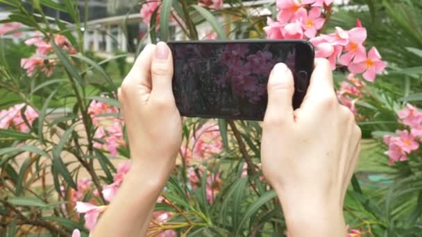 Uma mulher tira uma foto de uma flor de oleandro em seu smartphone, para uso em redes sociais. blogueiro. 4k, câmera lenta — Vídeo de Stock