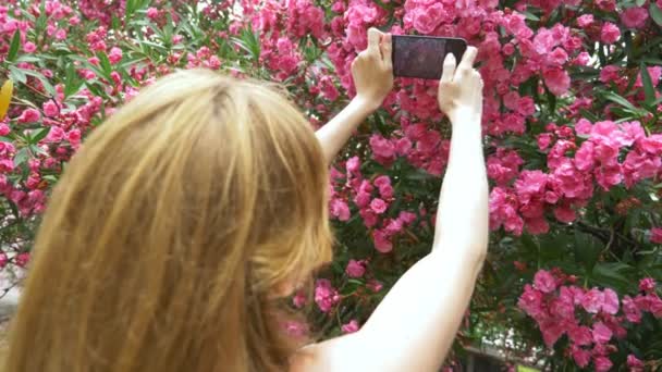 Bir kadın bir zakkum çiçeği fotoğrafı onun smartphone, sosyal ağları kullanmak için alır. Blogger. 4k, ağır çekim — Stok video