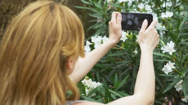 Uma mulher tira uma foto de uma flor de oleandro em seu smartphone, para uso em redes sociais. blogueiro. 4k, câmera lenta — Vídeo de Stock