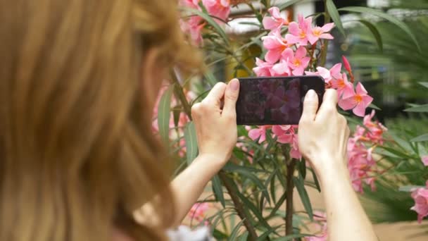 Egy nő fog egy fénykép, egy oleander virág ő okostelefon, társadalmi hálózatokban használnak. blogger. 4k, lassú mozgás — Stock videók