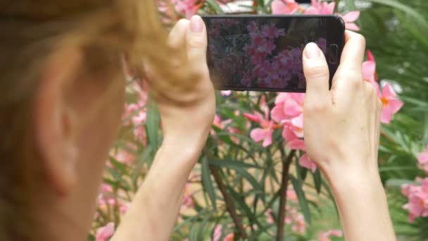 女性は 彼女のスマート フォン ソーシャル ネットワークで使用するためのキョウチクトウの花の写真です ブロガー スローモーション — ストック動画