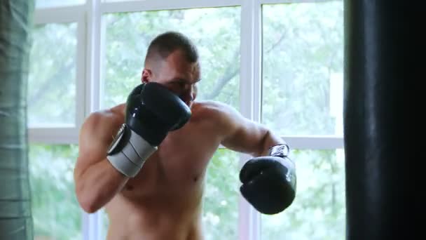 Профессиональный спортсмен боксер тренируется в зале боевых искусств. Молодой европеец в спортзале. 4k , — стоковое видео