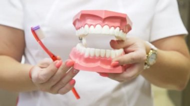 Diş hekimi diş, 4 k, hasta doğru temizleme öğretmek için çene sahte ve diş fırçası kullanarak yavaş hareket