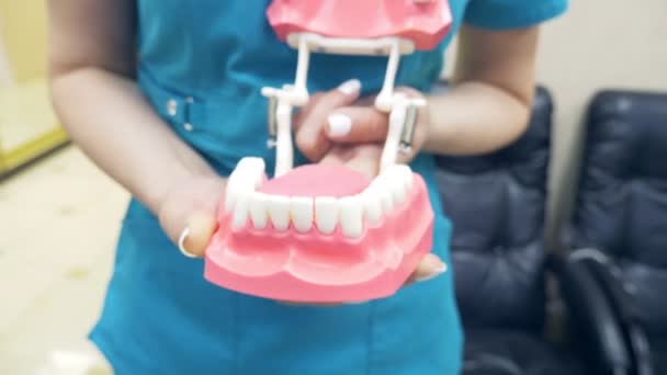 El dentista muestra la estructura de la boca con la ayuda de un modelo de la mandíbula humana. 4k, cámara lenta — Vídeo de stock