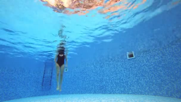 4 k. θέα κάτω από το νερό. Γυναίκα σε ένα μαύρο μαγιό που κολυμπά στην πισίνα. — Αρχείο Βίντεο