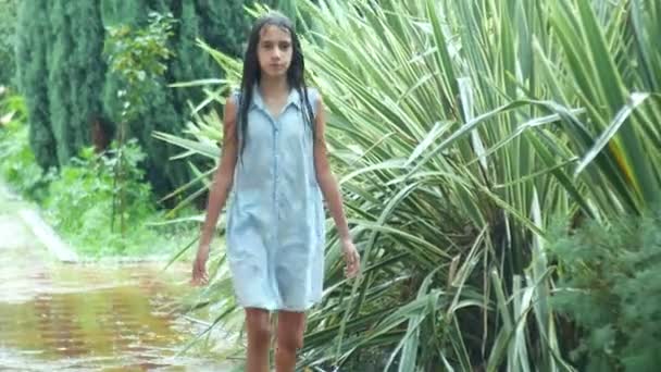 Insatisfeito molhado menina adolescente de pé em chuva torrencial. 4k — Vídeo de Stock