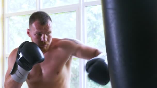 一名职业拳击手运动员在武术馆里训练 年轻的欧洲男人在健身房 慢动作 — 图库视频影像