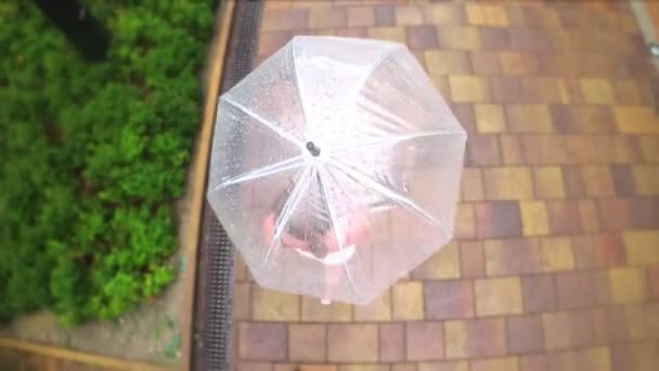 Vista de cima. 4K. Câmara de acção. A mulher caminha sob um guarda-chuva transparente em um dia chuvoso de verão . — Vídeo de Stock